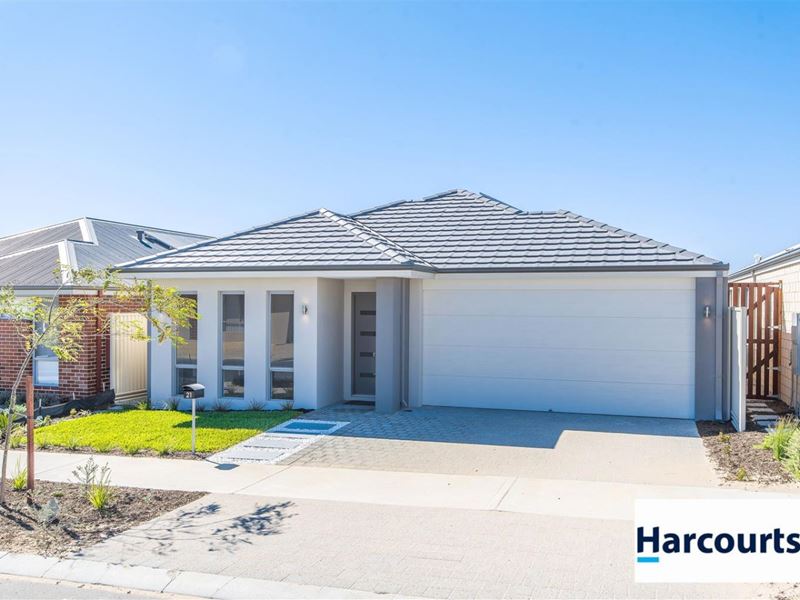 21 Tortoise Street, Alkimos WA 6038