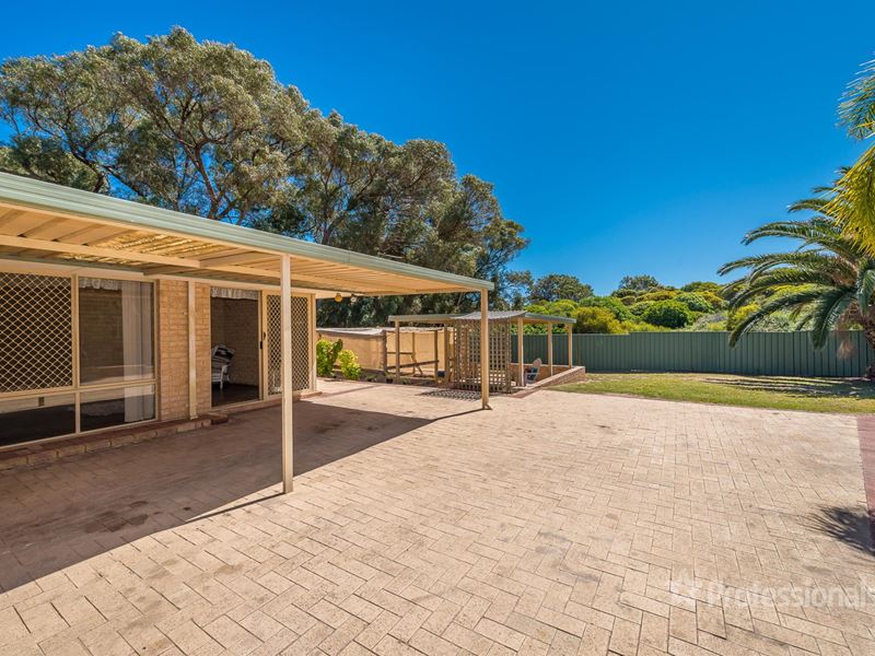 19 Newlyn Place, Yanchep