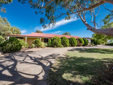 19 David Road, Waggrakine WA 6530