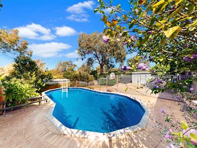 16 March Street, Gwelup WA 6018