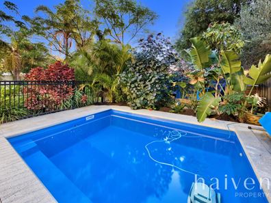 31 DUKE STREET, Karrinyup WA 6018