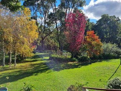 107 Meotti Road, Donnybrook WA 6239