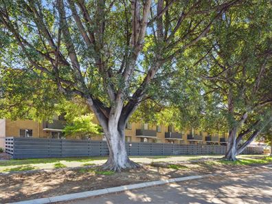 15C/159 Hector Street, Osborne Park WA 6017