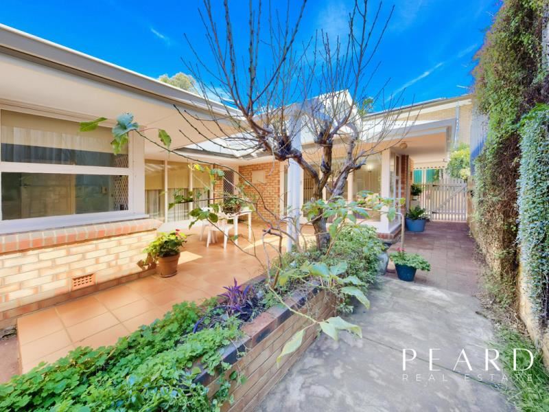35B Kay Street, Scarborough