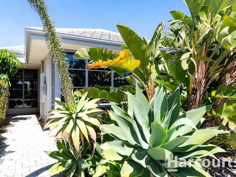 22 Counter Way, Alkimos WA 6038