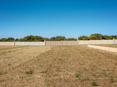29 Eurithmic Link, Wandina WA 6530