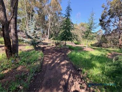 Lot 13524 Blackwood Road, Greenbushes WA 6254