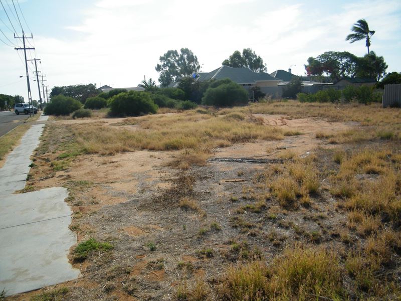 41 Douglas Street, South Carnarvon