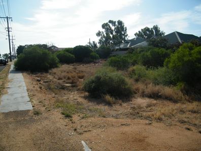 41 Douglas Street, South Carnarvon WA 6701