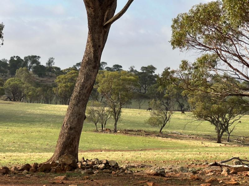 2130 Long Forrest Road, Mumberkine WA 6401