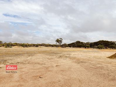 Lot 1,  Merredin-Narembeen Road, Merredin WA 6415