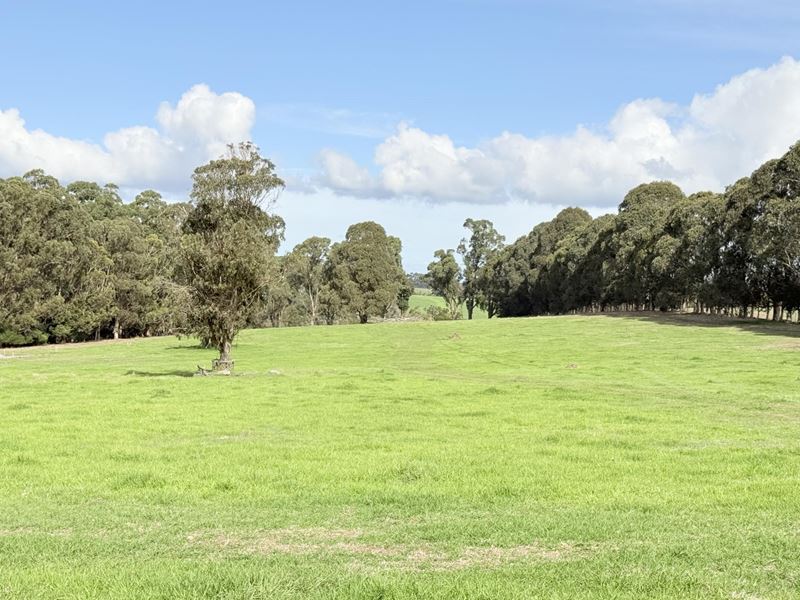 238 Link Road, Marbelup WA 6330