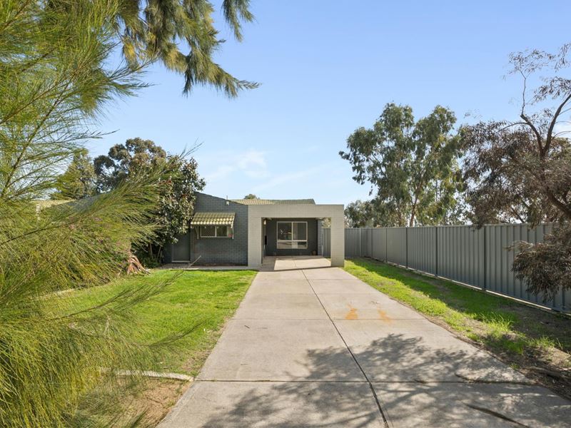 17 Cassio Place, Hamilton Hill WA 6163