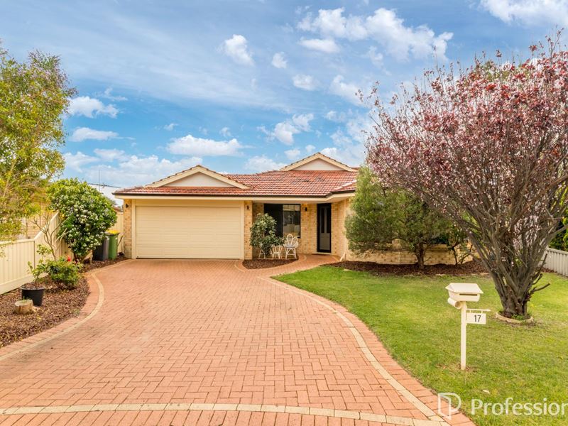 17 Brigham Court, Gosnells WA 6110