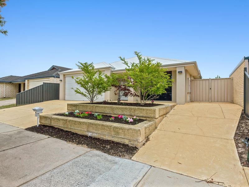 41 Mallard Way, Baldivis WA 6171