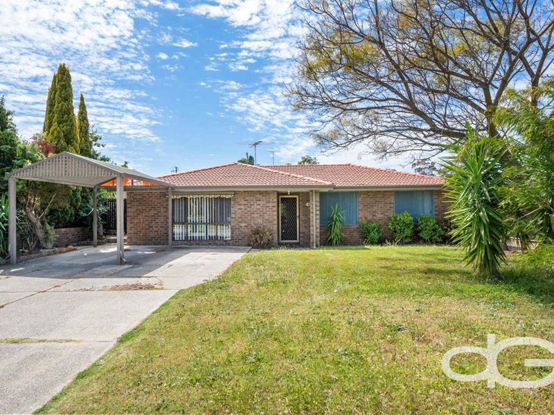 49 Falstaff Crescent, Spearwood