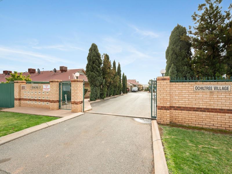 14/1 Ochiltree Street, Somerville