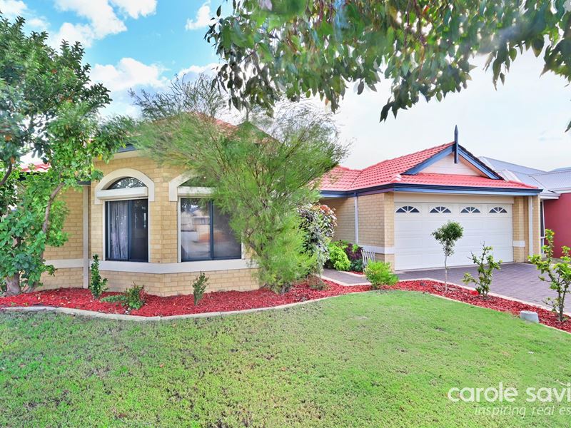 27 Spring Hill, Tapping