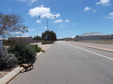 1 Phaeton Road, Moresby WA 6530