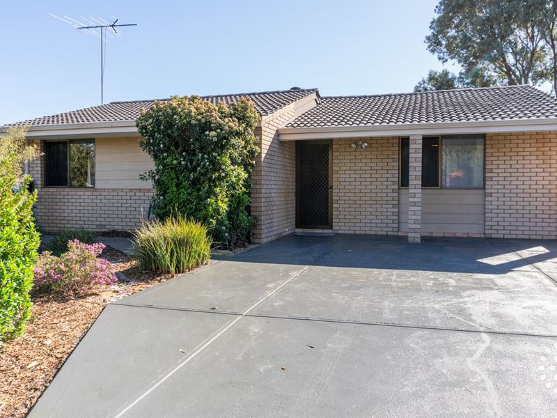 21 Honeysett Court, Hamilton Hill WA 6163