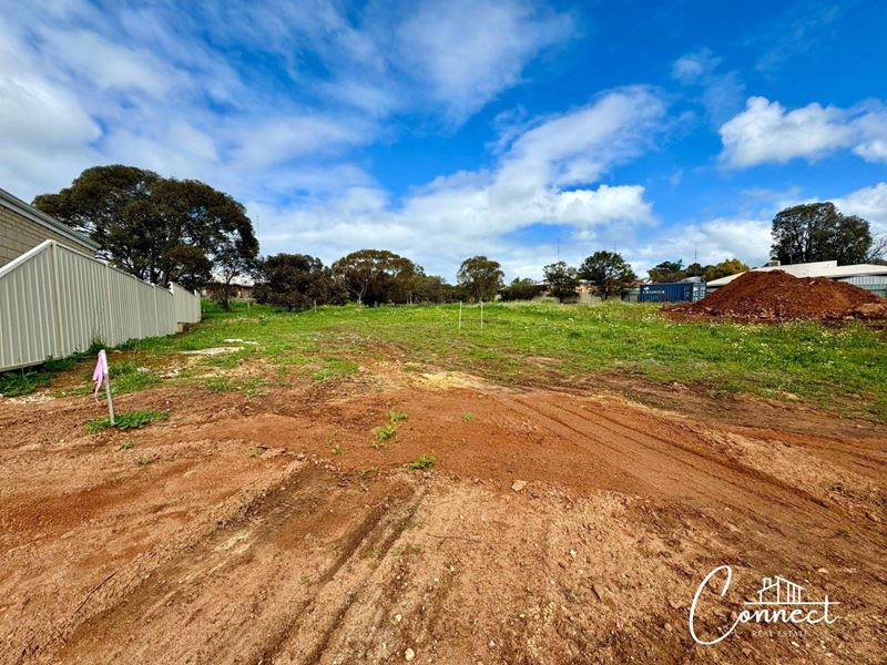 34 Oakover Place, Northam WA 6401