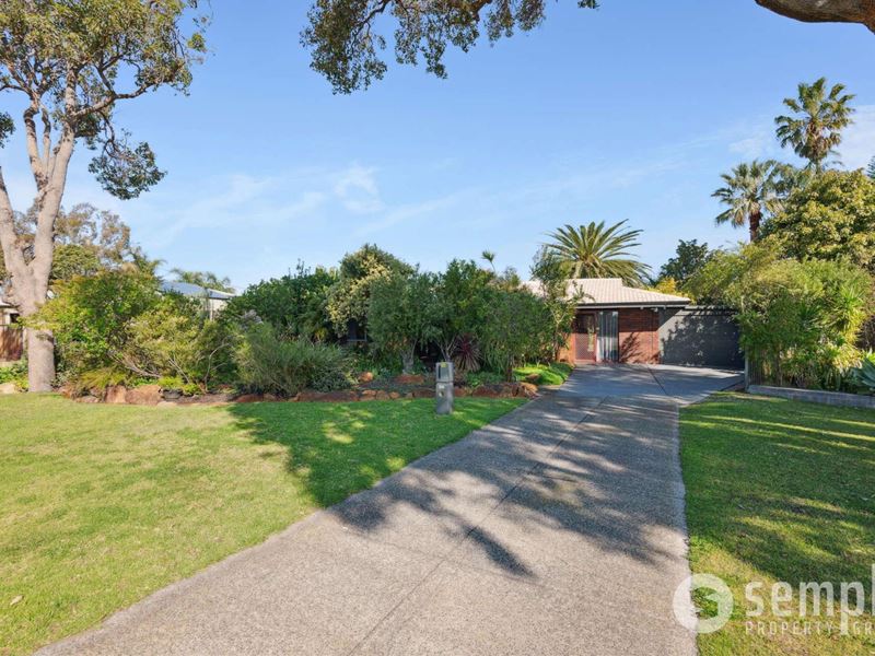 16 Celosia Way, Riverton WA 6148