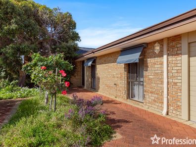 17 Chelmer Way, Willetton WA 6155