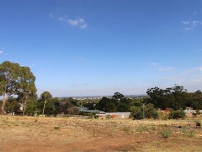 44 Arundle Avenue, Greenmount WA 6056