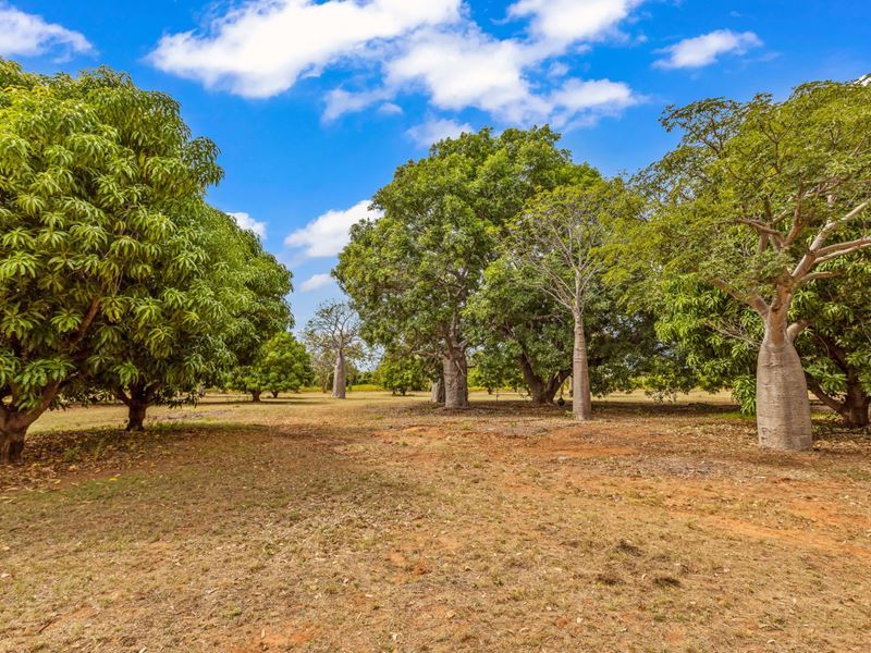 9 Wright Street, Derby WA 6728