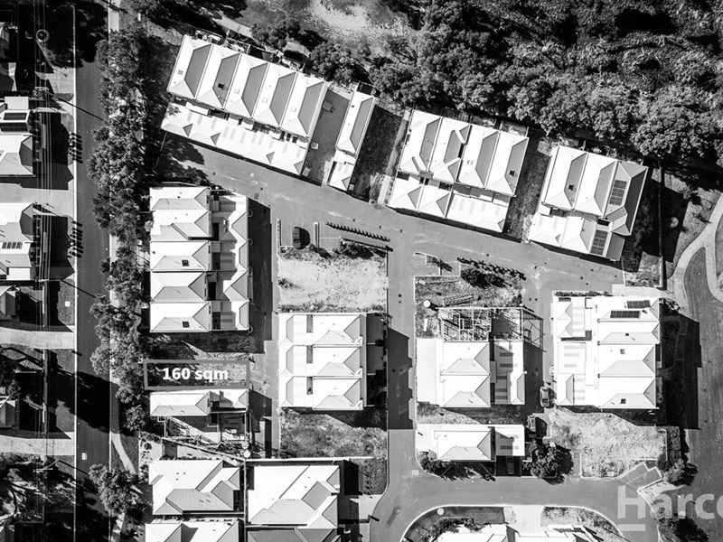10/15 Kardan Loop, Falcon