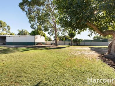 3 Hopevale Place, Erskine WA 6210