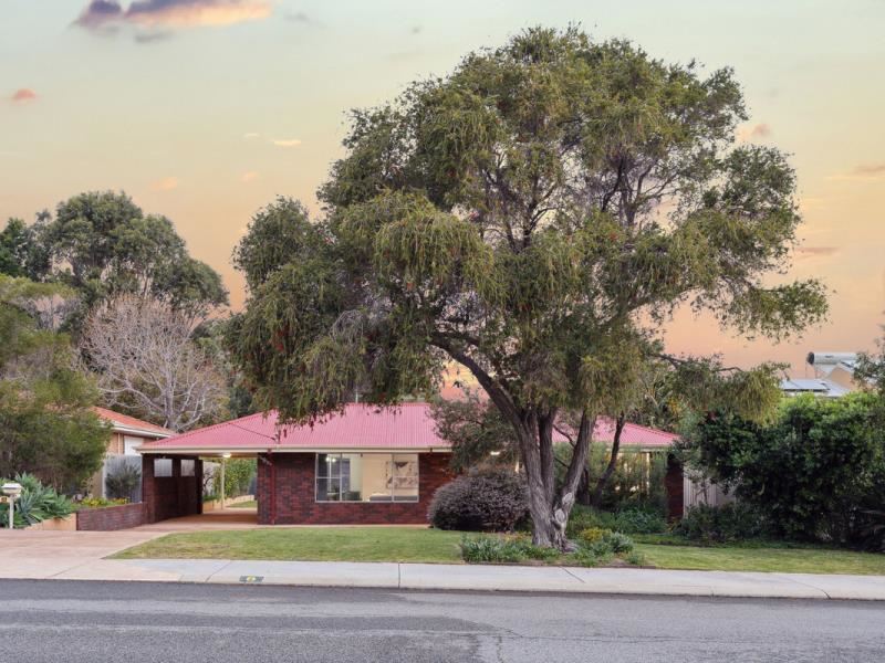 8 Waldorf Street, Carine WA 6020