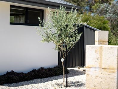 56 Wishart Loop, Wanneroo WA 6065