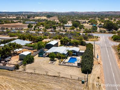 431 Alexander Drive, Glenfield WA 6532