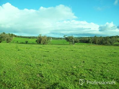 Lot 8464 Corser Road, Hastings WA 6308