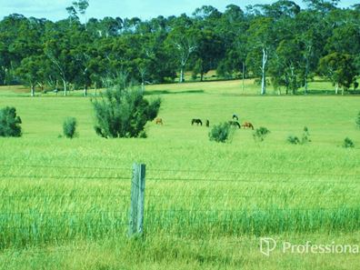 Lot 8464 Corser Road, Hastings WA 6308