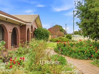 18 Archer Street, Collie WA 6225