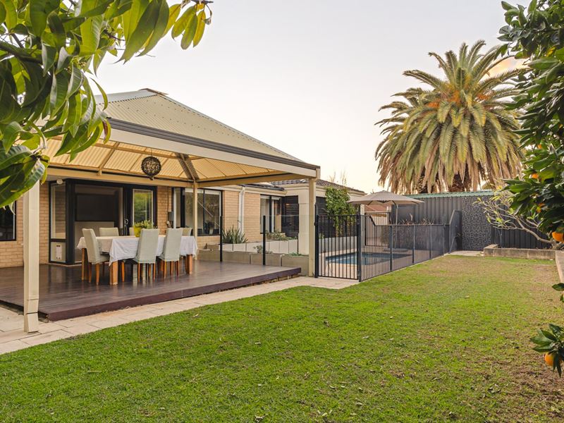 3B Johnson Road, Maylands