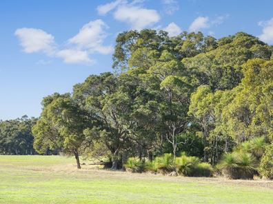 Lot PL10, 93 Biddle Road, Quedjinup WA 6281