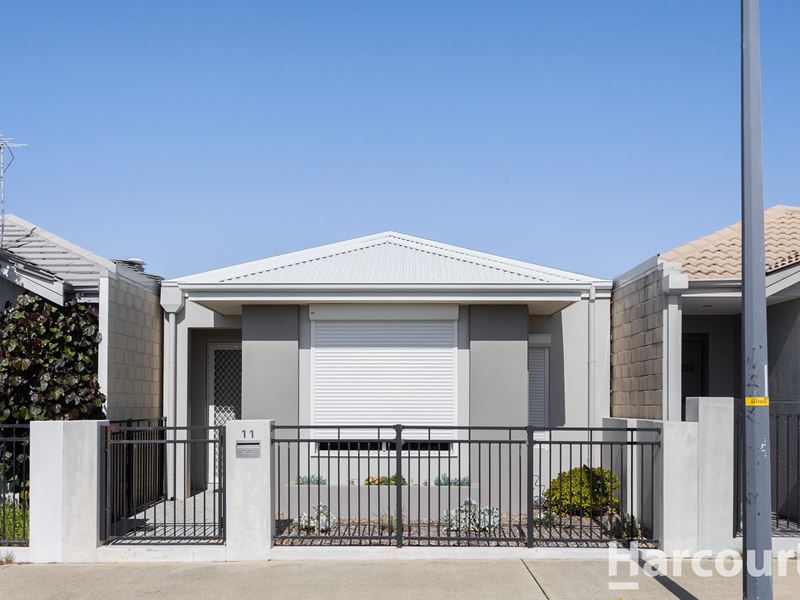 11 Venulosa Avenue, Halls Head WA 6210