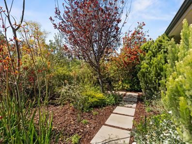 7 Tribute Vista, Baldivis WA 6171