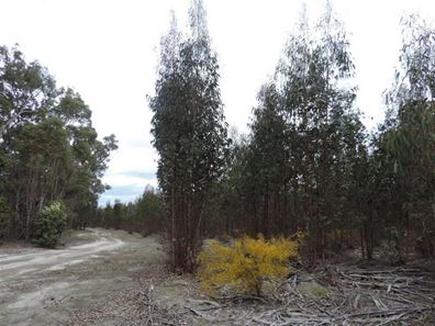 Lot 7,  Four Forty Road, Benjinup WA 6255