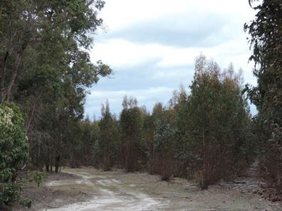 Lot 7,  Four Forty Road, Benjinup WA 6255