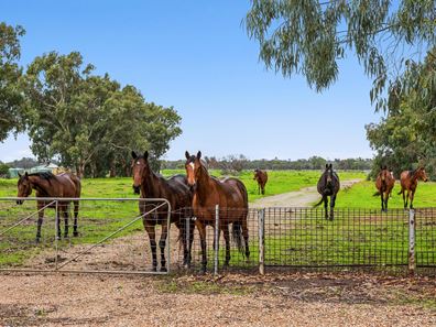 134-138 Warbrook Road, Bullsbrook WA 6084