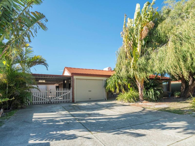 6 Blackbutt Court, Morley