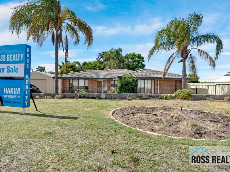 42 The Avenue, Alexander Heights