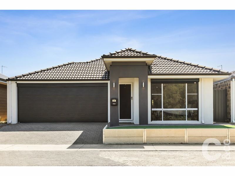 26 Luminous Loop, Wellard