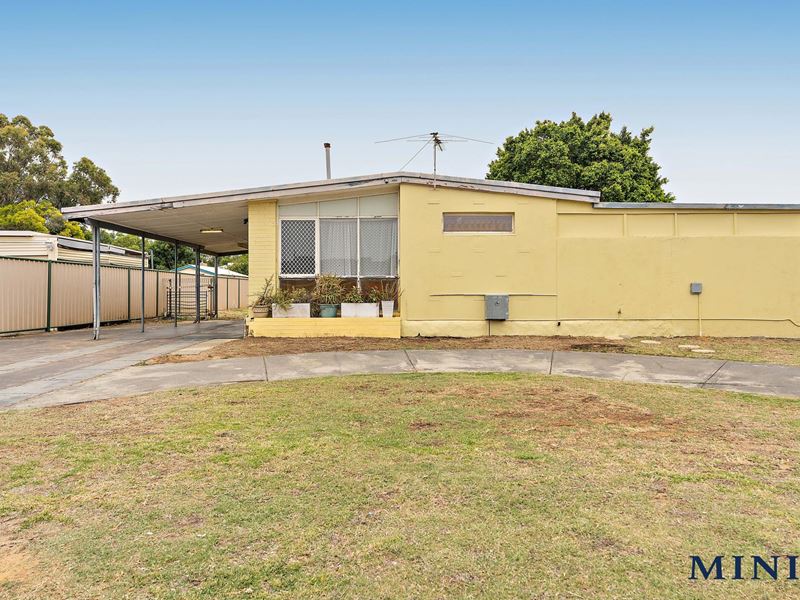 19 Pitchford Avenue, Maddington WA 6109