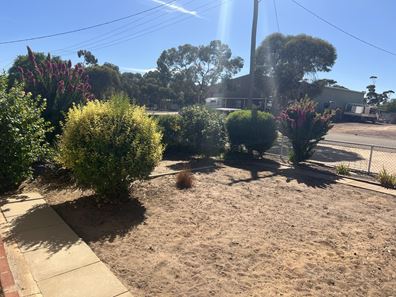 7 Doreen Street, Narembeen WA 6369