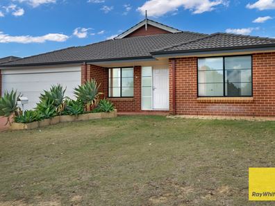 14 Dillwynia Bend, Banksia Grove WA 6031